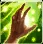 Healing