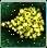 Wasp Swarm