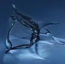 ashatanka