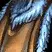 Werewolf Skin
