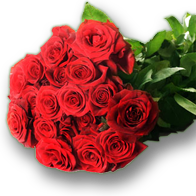 Bouquet of roses