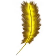 Golden Feather