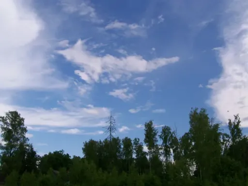 Изображение 027.webp