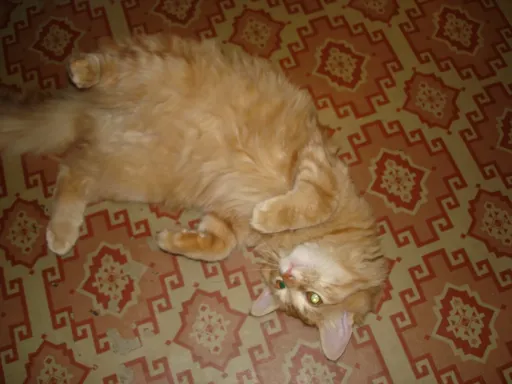DSC05127(2).webp