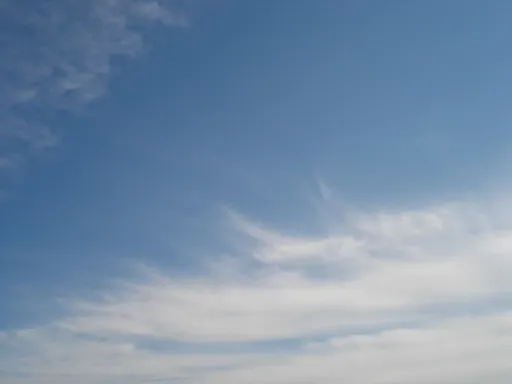 DSC00417().webp