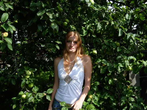 2008.webp