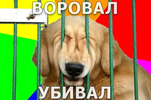 bopobajly6ubajlsh9.webp