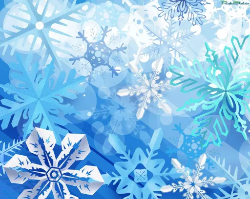 2412_4.webp