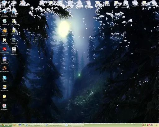 11.webp