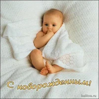 9d14619b1a67af8bc3.webp