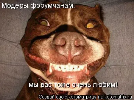 5435.webp