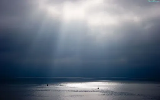 1363_6.webp