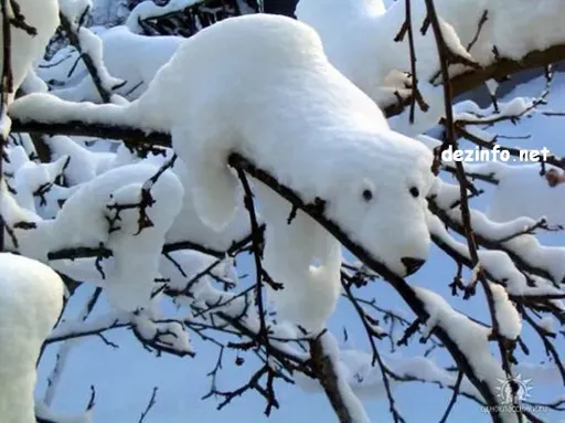 1040.webp
