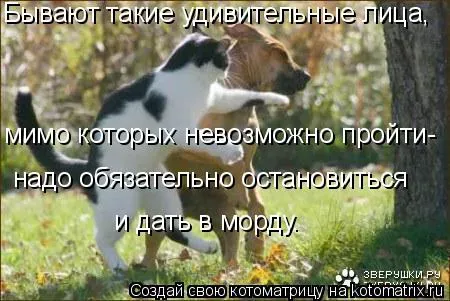 ld.webp