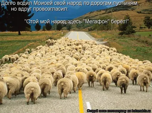 u.webp