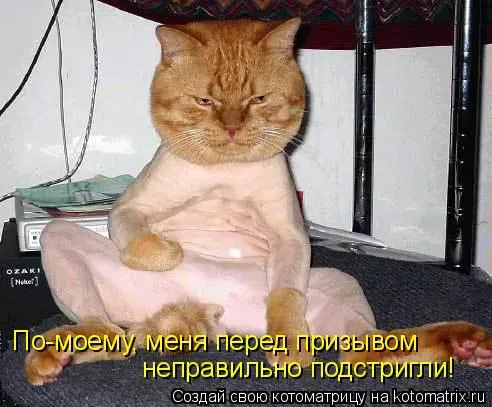 Q.webp