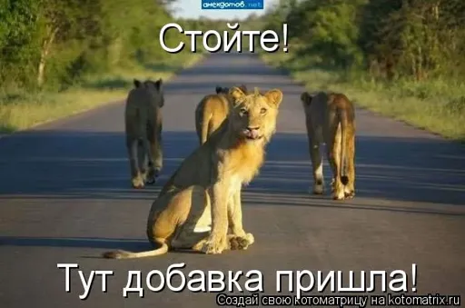 ce.webp
