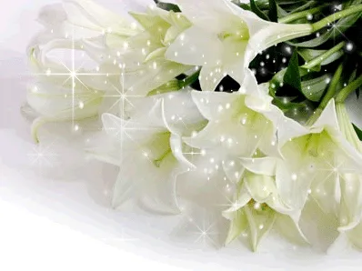 2780893_ee4f74df.webp