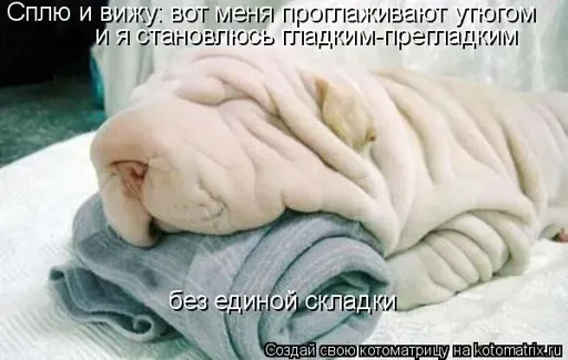V4.webp