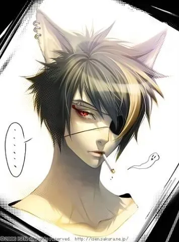 x_5c754bf4.webp