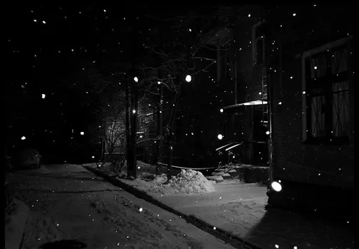 2879576_large.webp