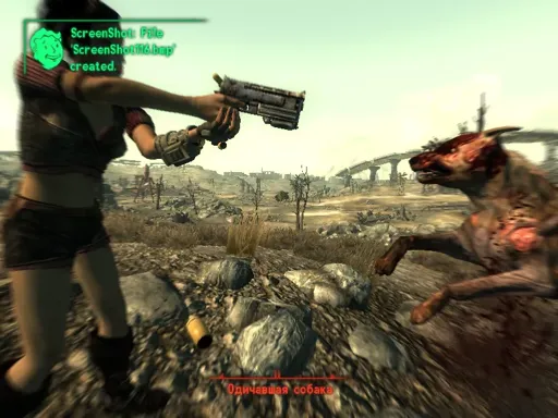 ScreenShot118.webp