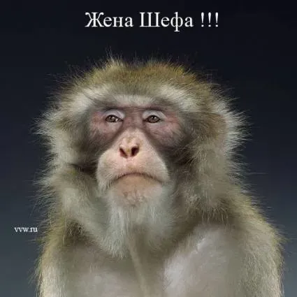 66f49af05066.webp