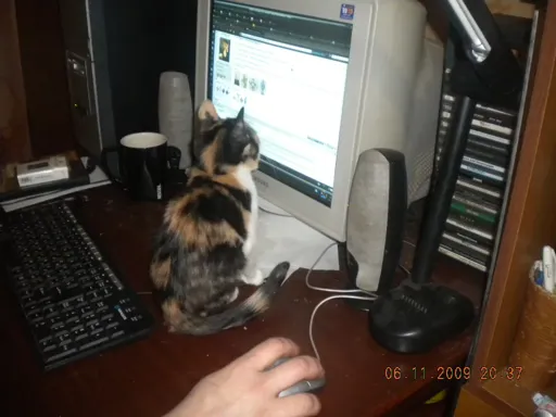 Изображение 070.webp