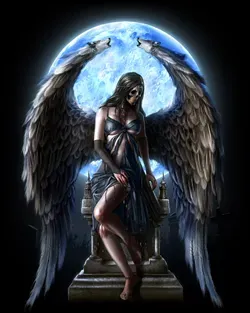 2 Angel.webp