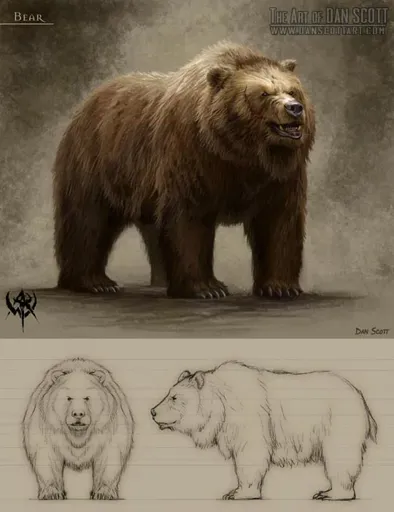 WH_Bear.webp