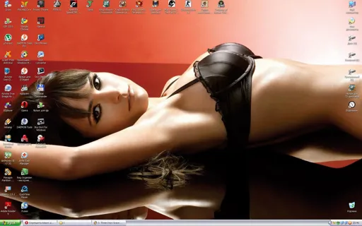 4342.webp