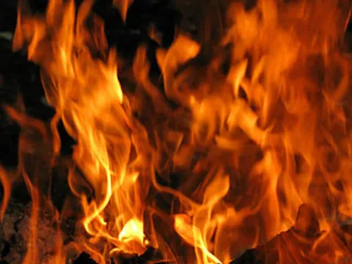 b_348493.webp