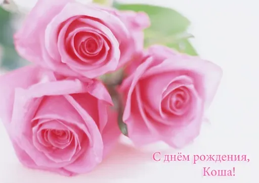 080f58c230117c8186482a73b548d554.webp
