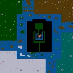 Searches of the lost city