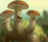 mushroom.webp