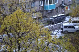 sneg4.webp