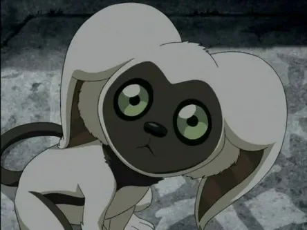 Momo.webp