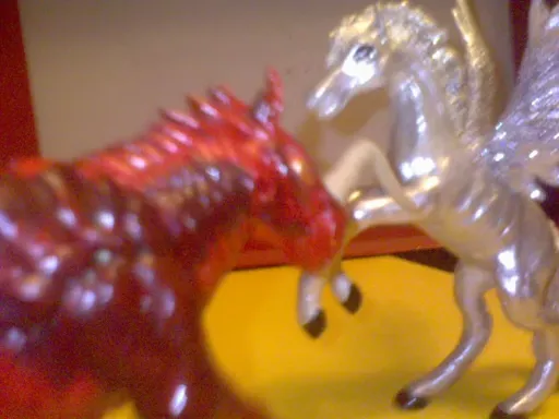 DSC00159.webp