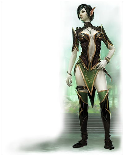6.webp