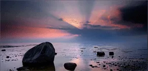 BrowserPreview (1).webp