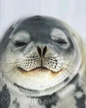 Img26F10759.webp