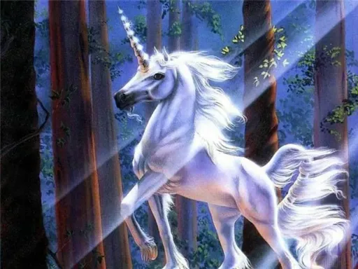 116593934943324.webp