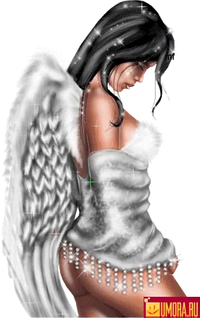 116623213954764.webp