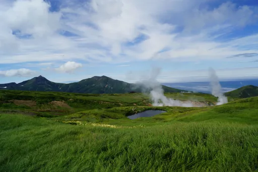 DSC02765.webp