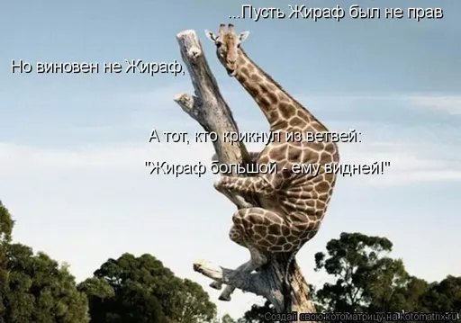 342630.webp