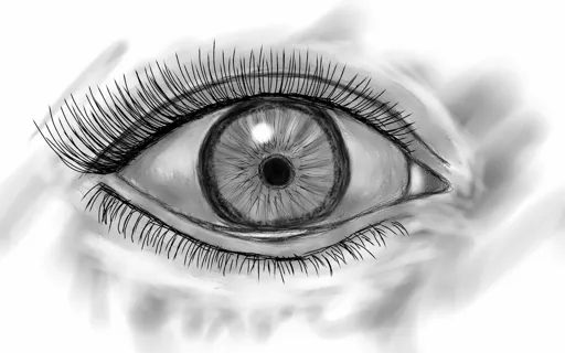 eye (Копировать).webp