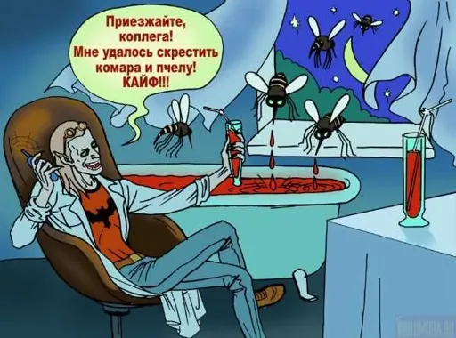 вам.webp