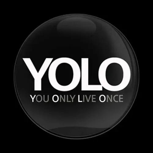 yolo.webp