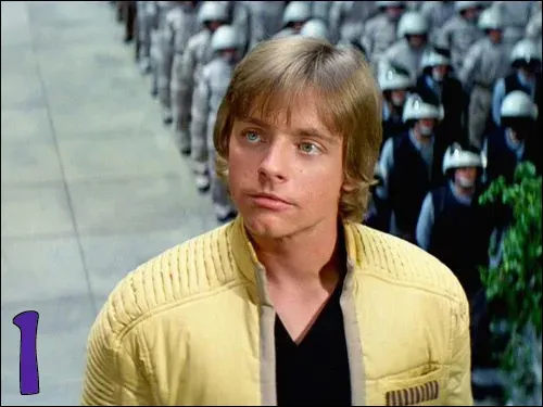 1.webp