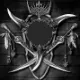 13335.webp